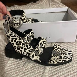 TOPSHOP cheetah buckle sandal